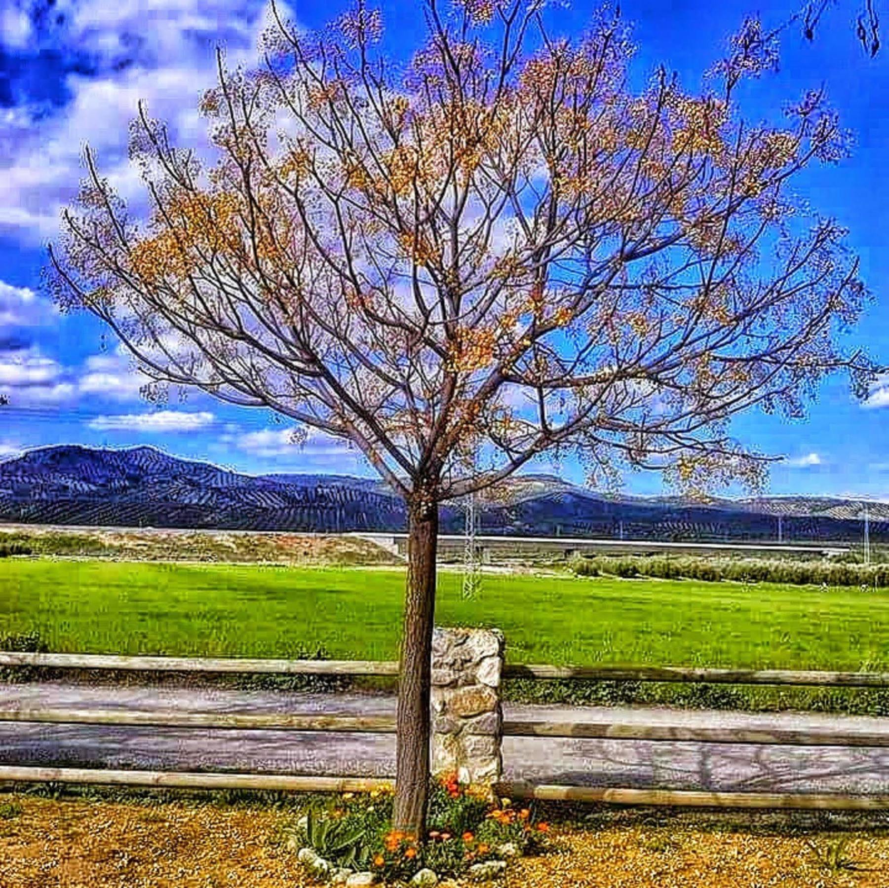 Alojamiento Rural El Cortijuelo Hotel Illora Exterior photo